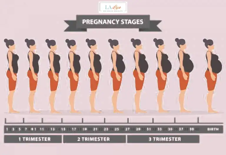 First Trimester (Weeks 1–12): Early Changes You Might Not Notice Falkirk
